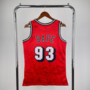 Regata Miami Heat Mitchell & Ness BAPE Edition 1993