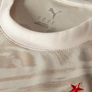 Camisa Palmeiras goleiro II 26/27 torcedor