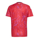 Camisa Costa Rica I 26/27